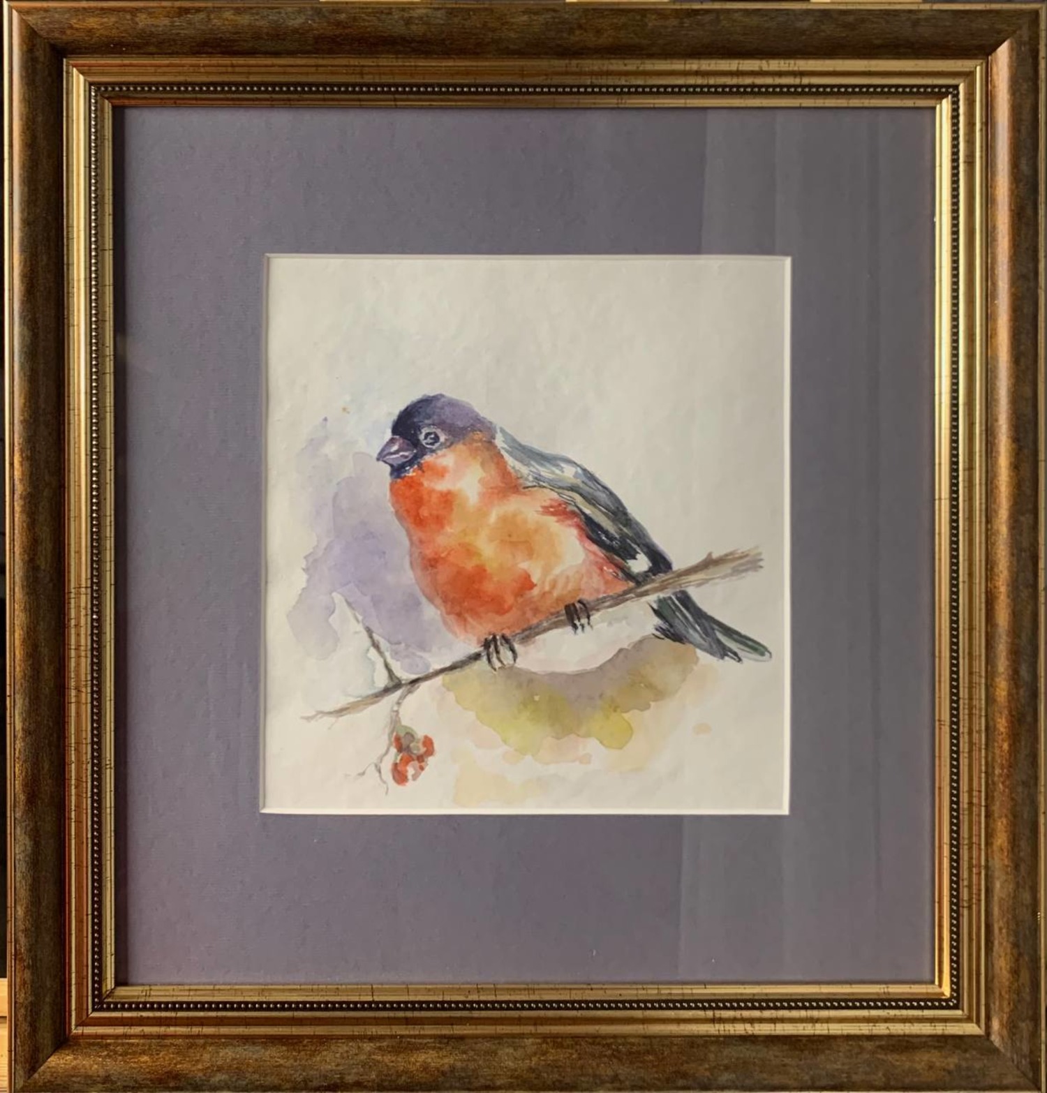 watercolor bullfinch