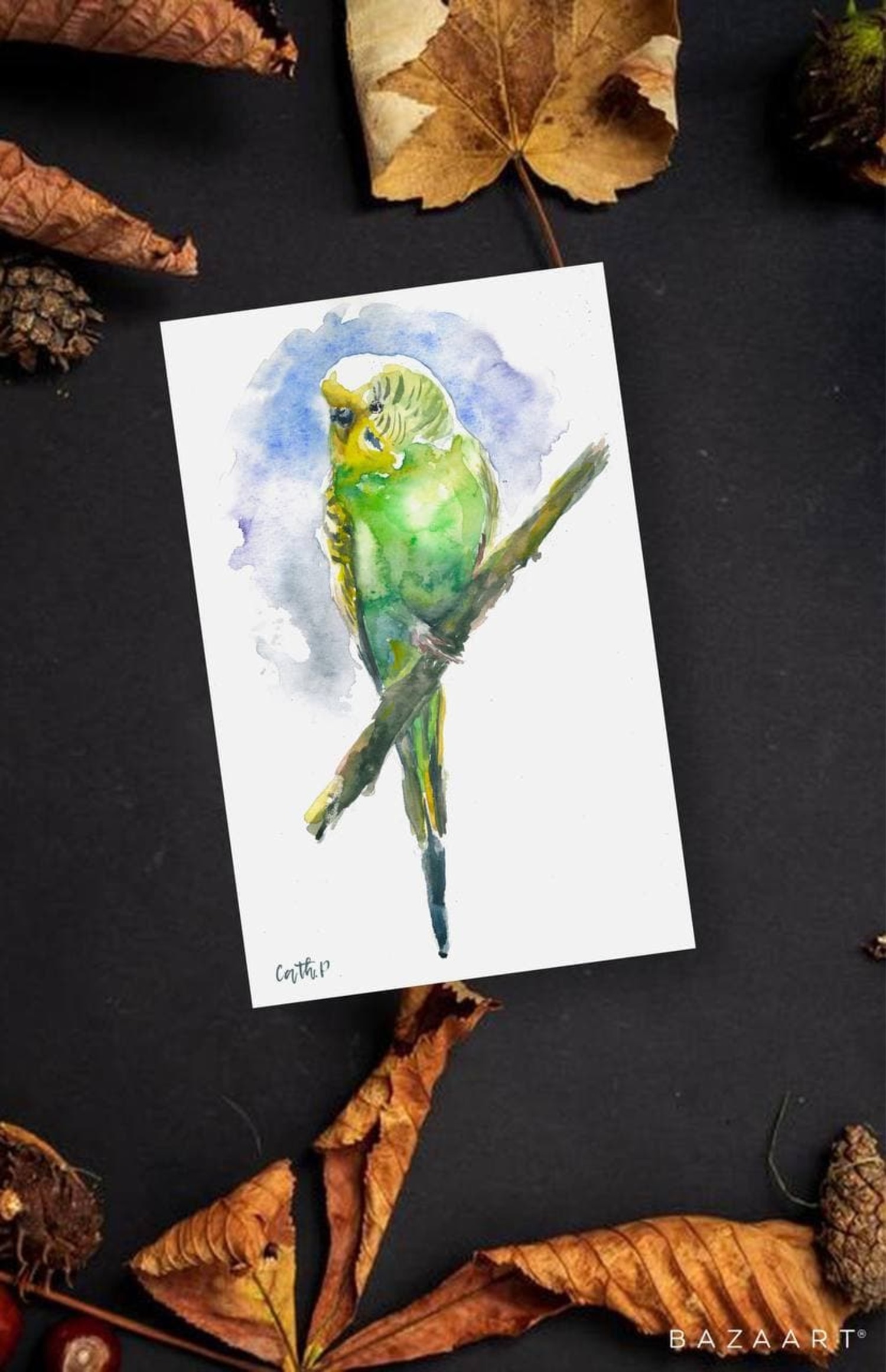 Watercolor budgie