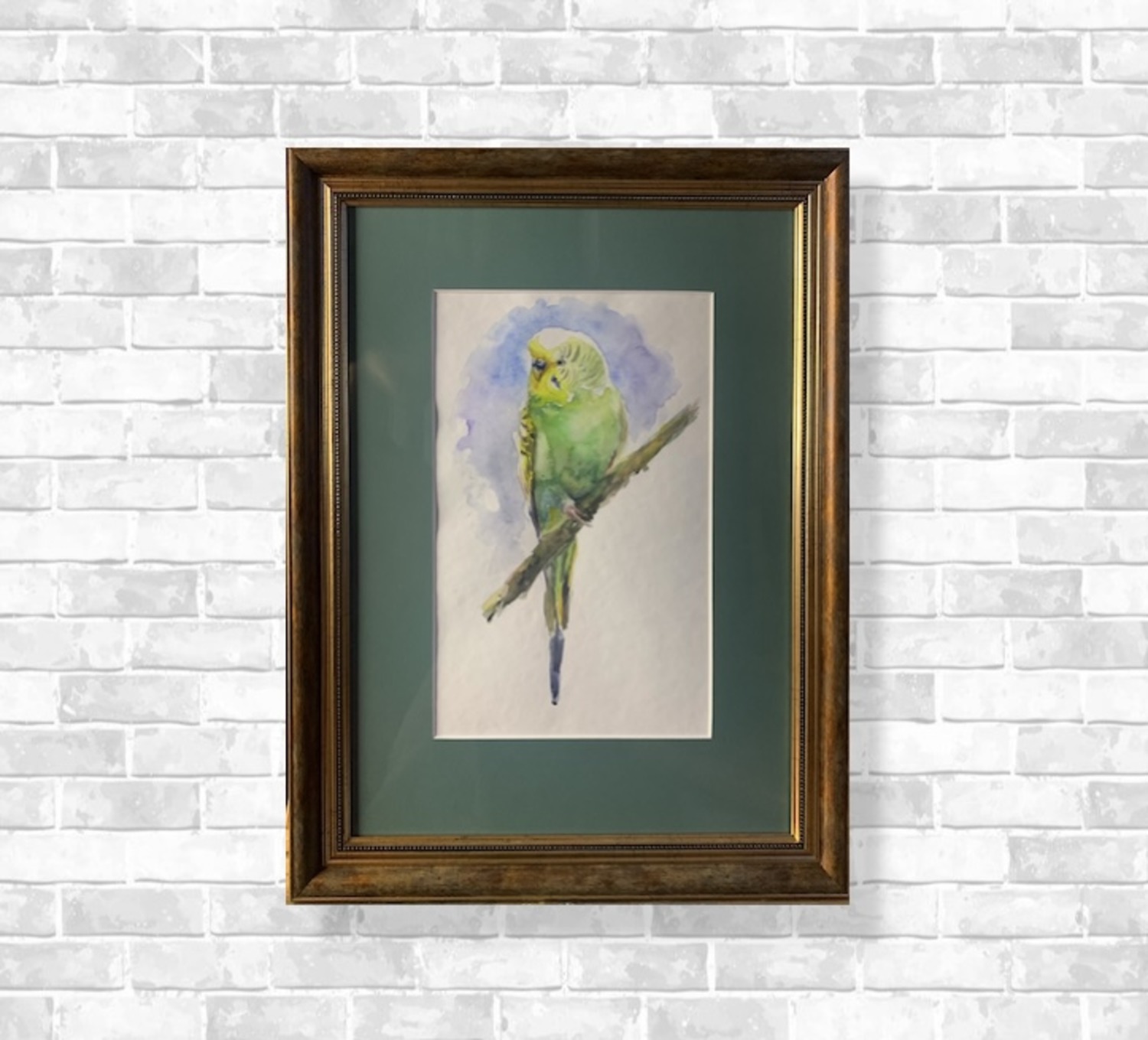 Watercolor budgie