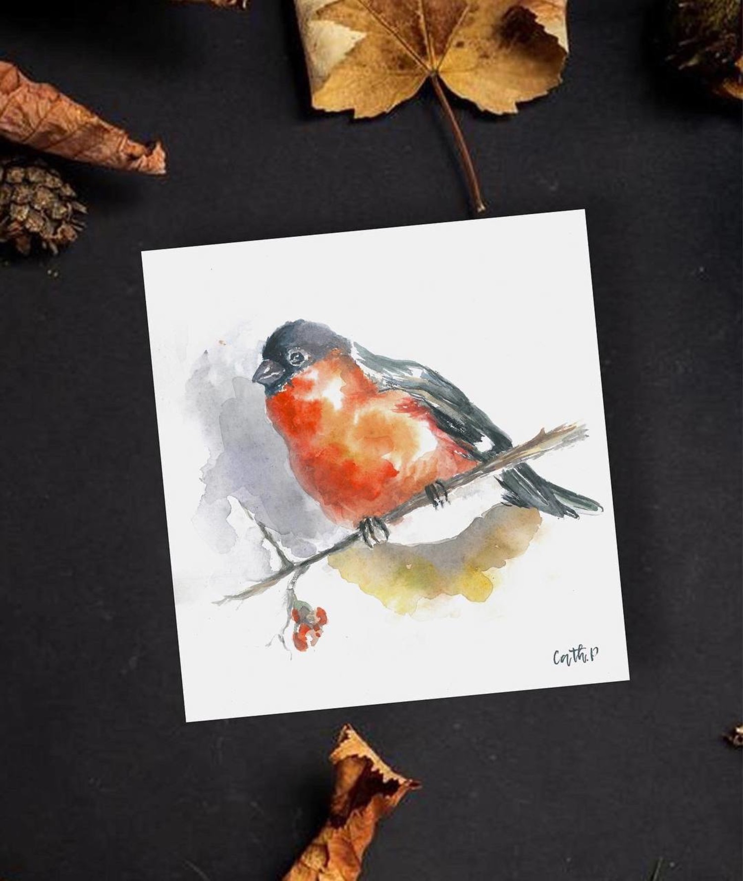 watercolor bullfinch